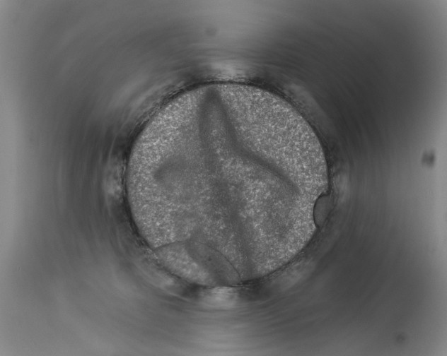 X0000113960325200911061331