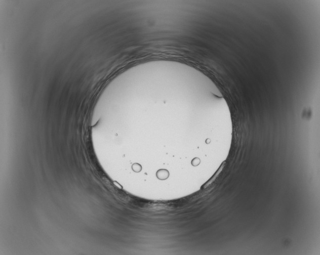 X0000113960327200911061331