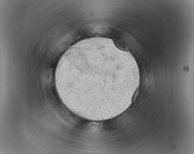 X0000113960328200911061331