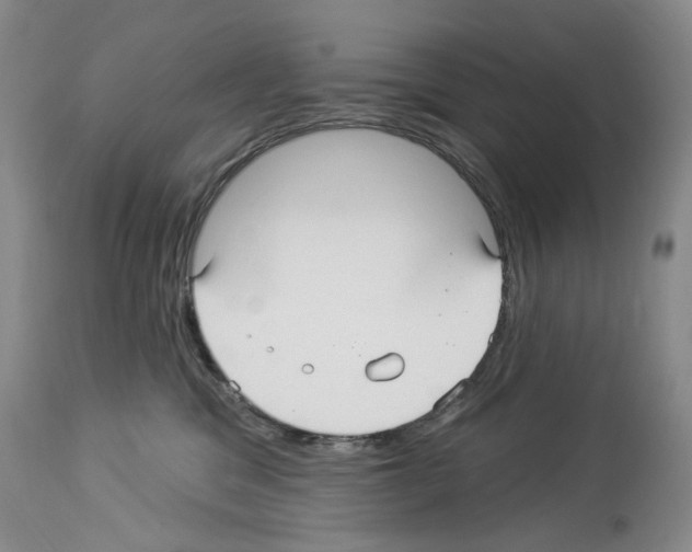 X0000113960329200911061331