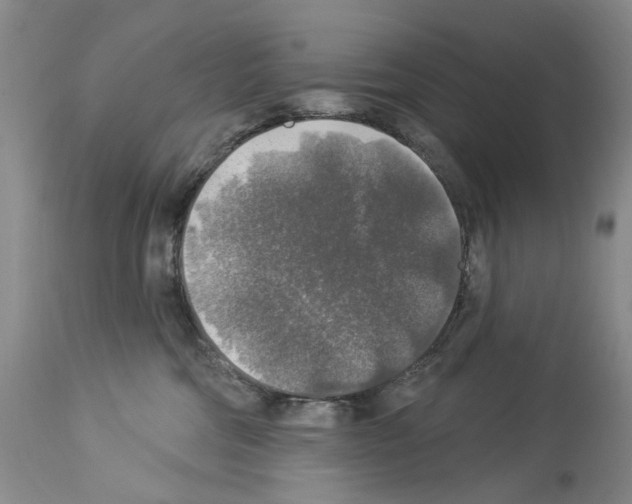 X0000113960330200911061331