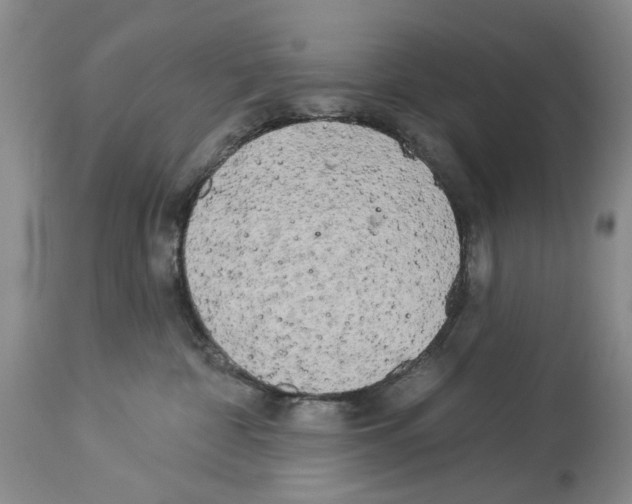 X0000113960332200911061331