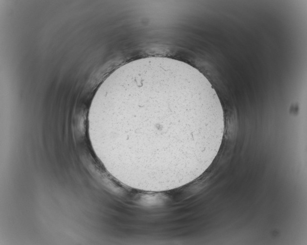 X0000113960334200911061331
