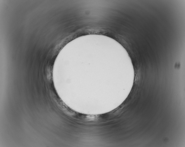 X0000113960335200911061331