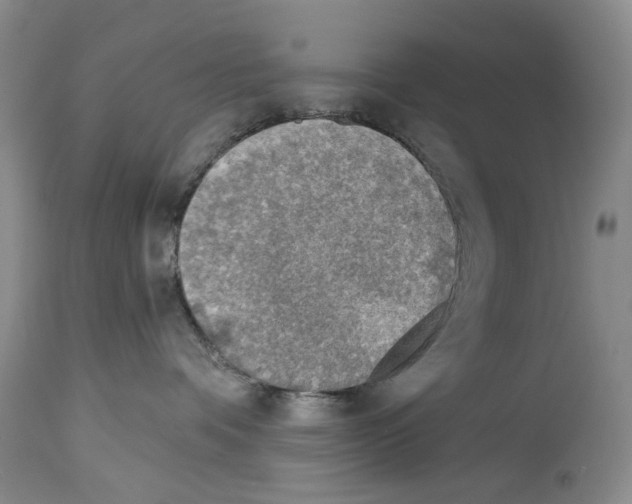 X0000113960336200911061331