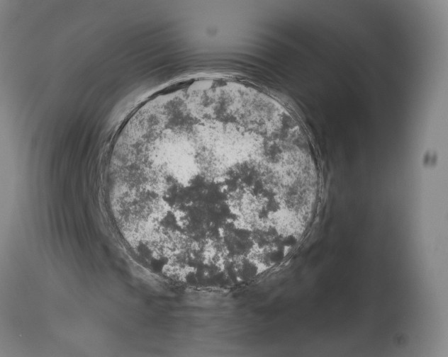 X0000113960337200911061330