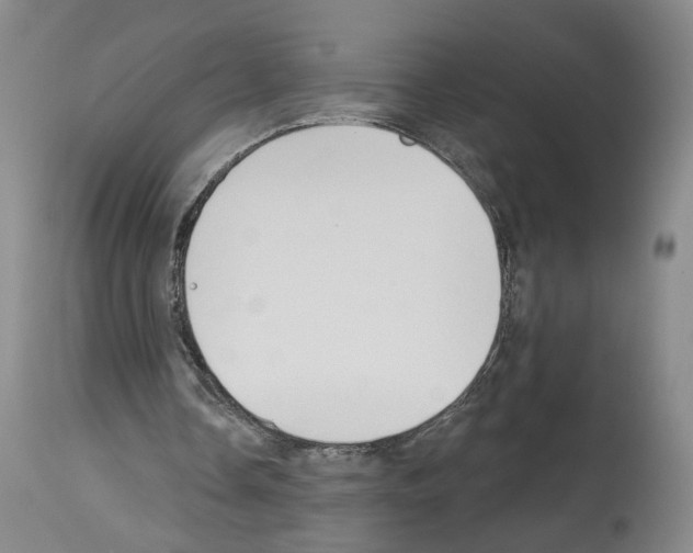 X0000113960338200911061330