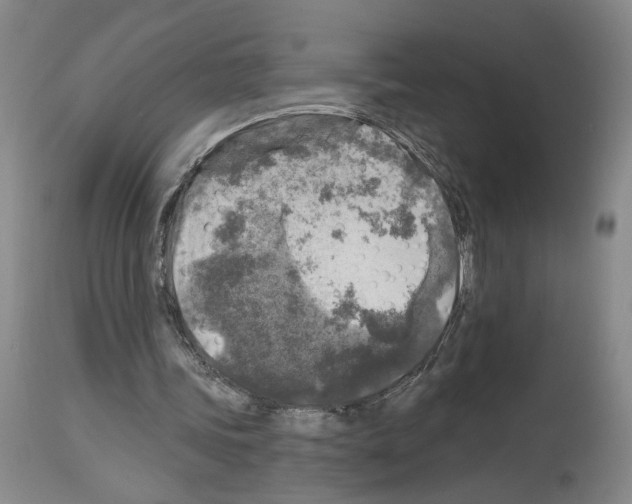 X0000113960339200911061330