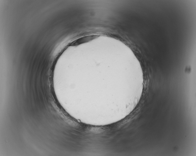 X0000113960341200911061330