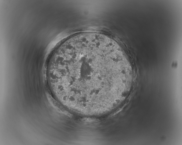 X0000113960343200911061330