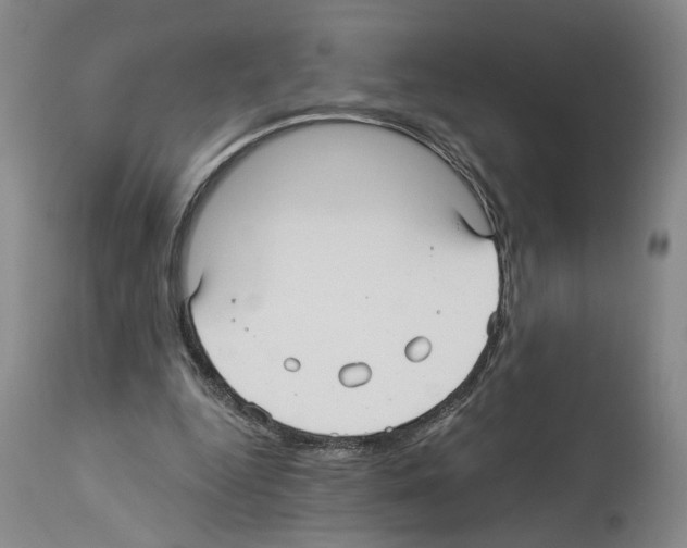 X0000113960344200911061330