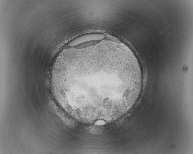X0000113960345200911061330