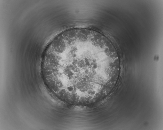X0000113960346200911061330