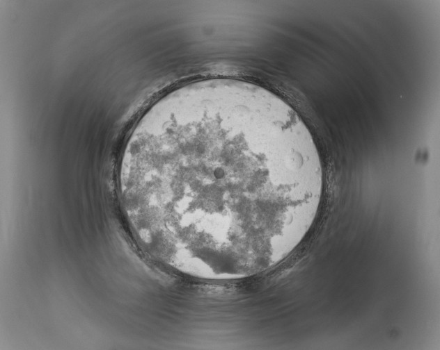 X0000113960347200911061330