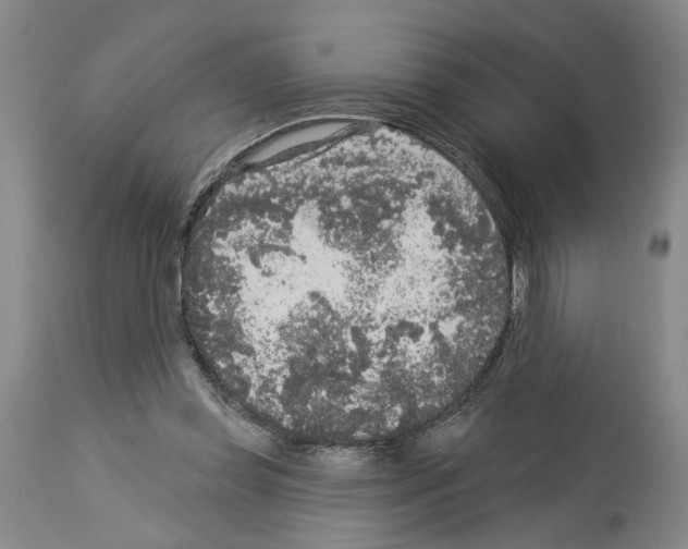 X0000113960349200911061330