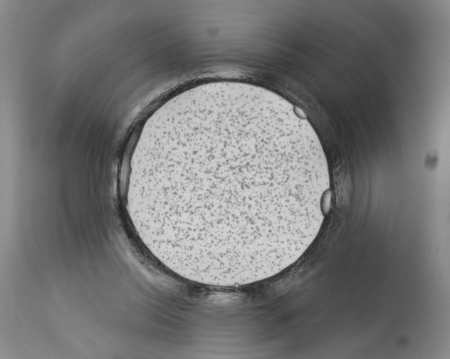 X0000113960350200911061330