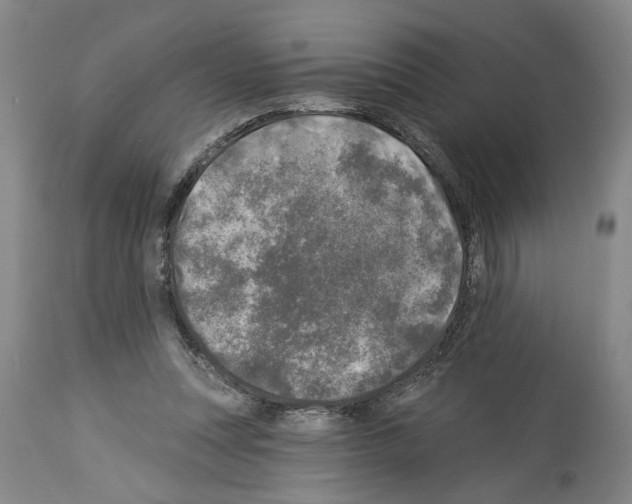 X0000113960351200911061330