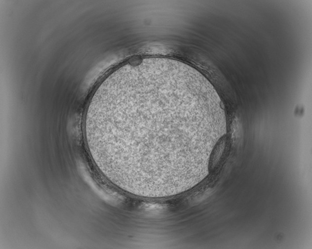 X0000113960352200911061330