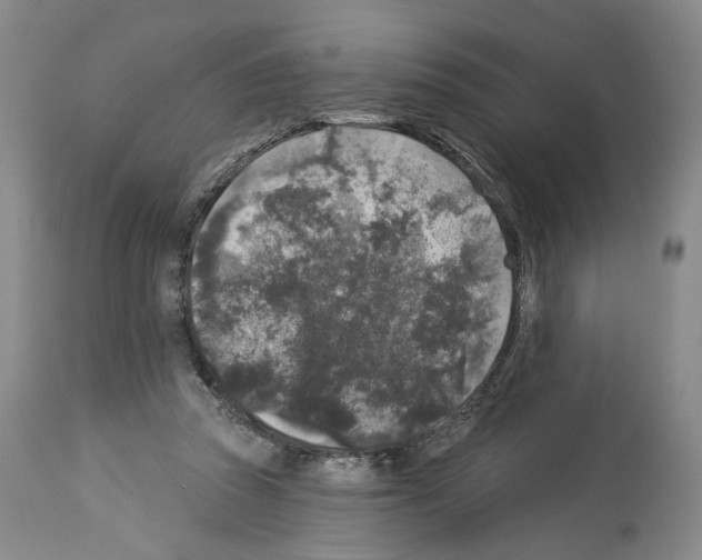 X0000113960353200911061330