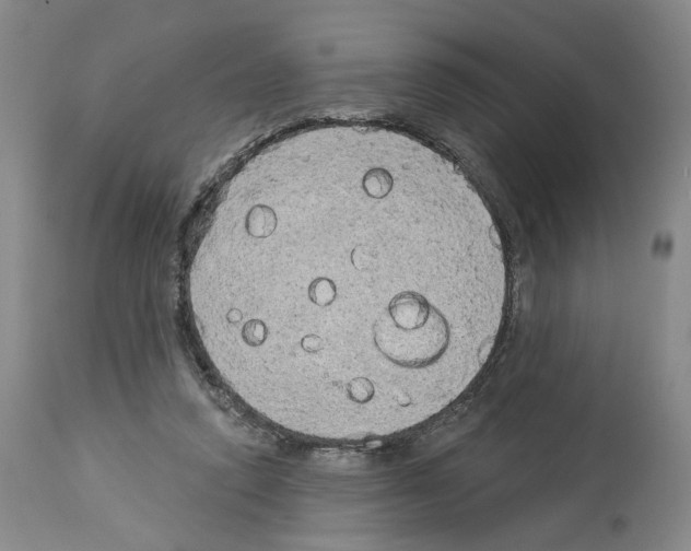 X0000113960354200911061330