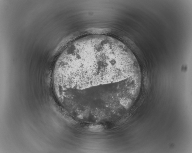 X0000113960357200911061330