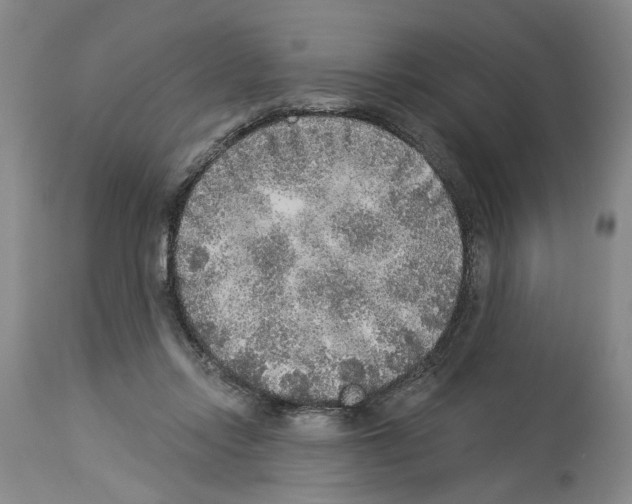 X0000113960358200911061330