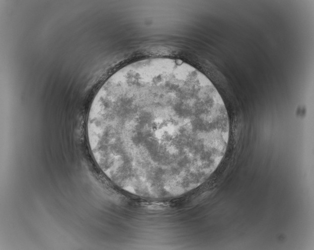 X0000113960359200911061330