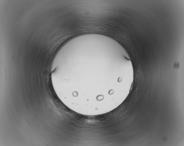 X0000113960360200911061330