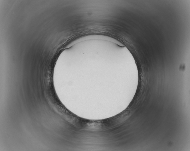 X0000113960362200911061330