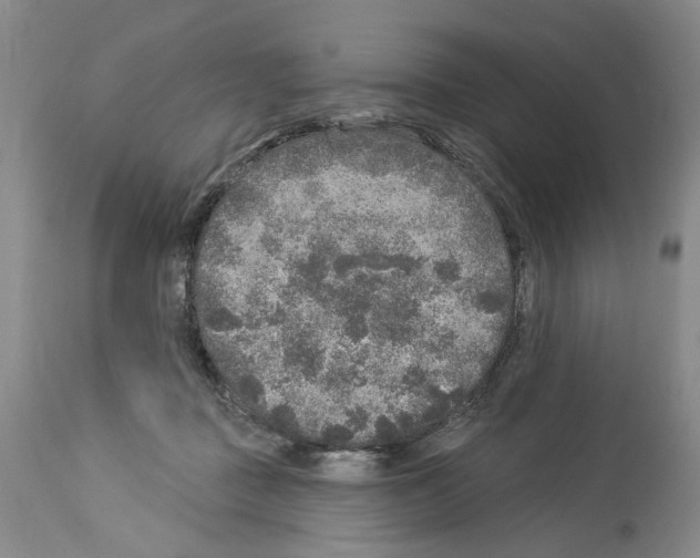 X0000113960363200911061330