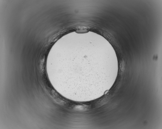 X0000113960364200911061330
