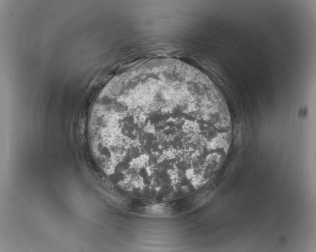 X0000113960365200911061330