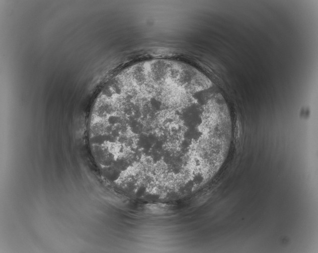 X0000113960367200911061330
