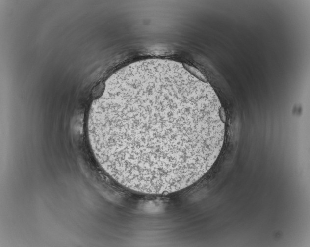 X0000113960368200911061330