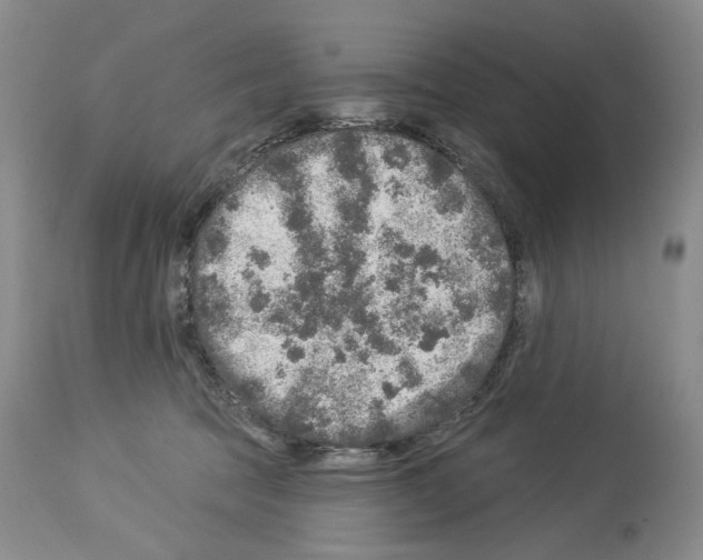 X0000113960369200911061331