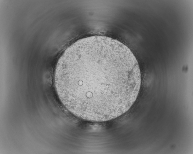 X0000113960370200911061331