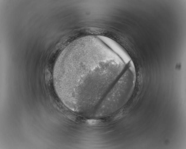 X0000113960371200911061331