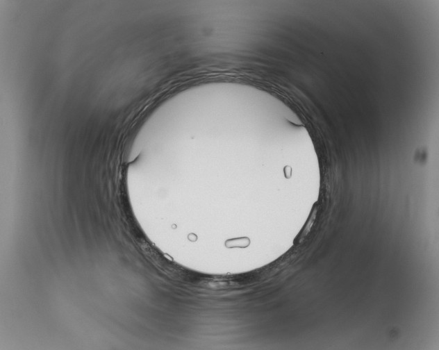 X0000113960372200911061331