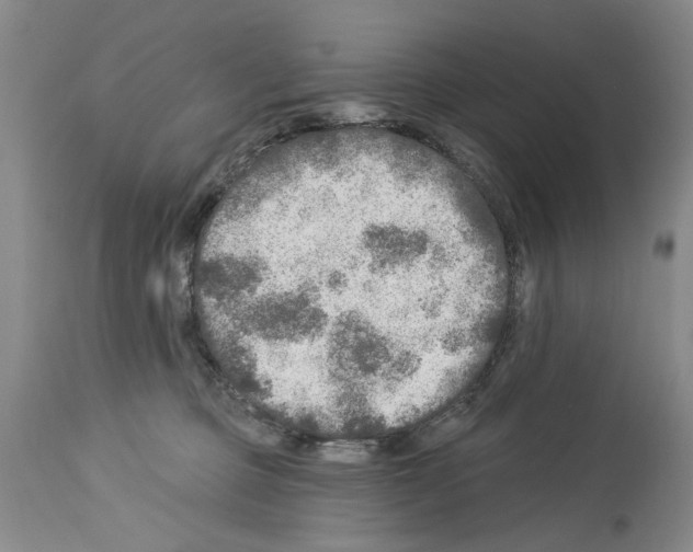 X0000113960373200911061331