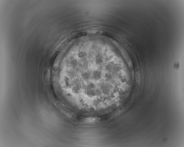 X0000113960375200911061331