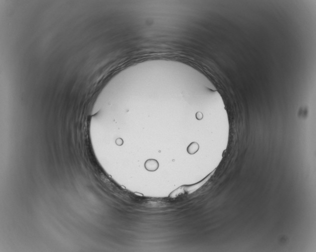 X0000113960376200911061331