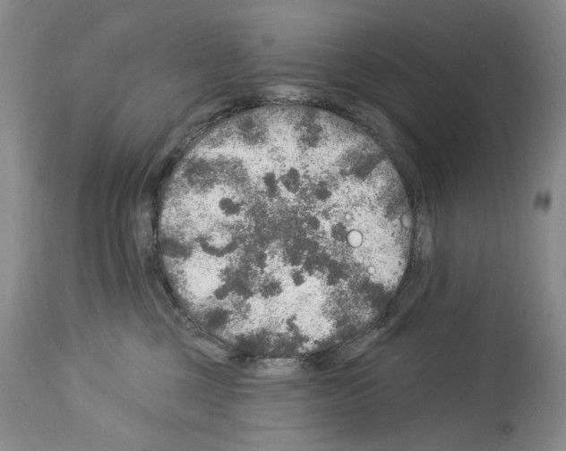 X0000113960377200911061331