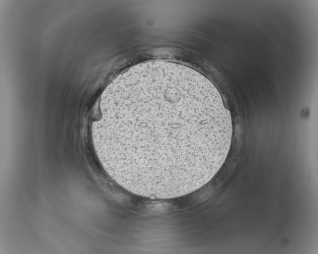 X0000113960379200911061331