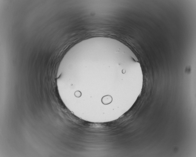 X0000113960380200911061331