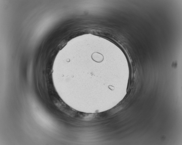 X0000113960382200911061331