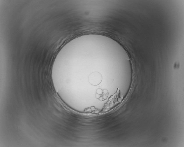 X0000113960384200911061331