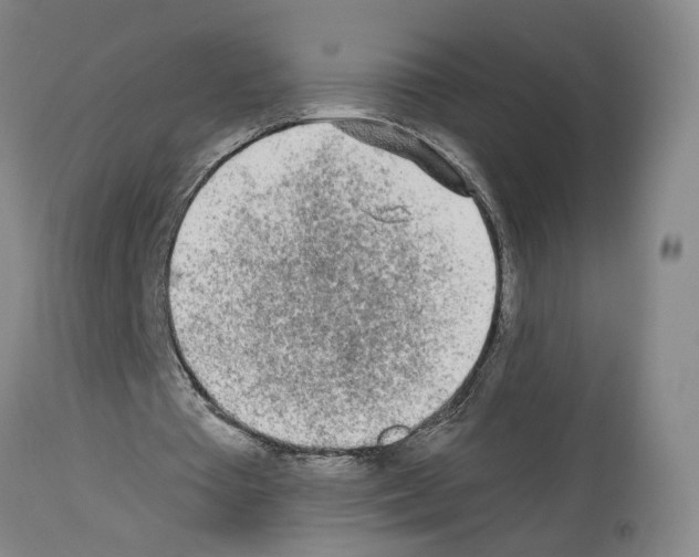 X0000113960385200911061330