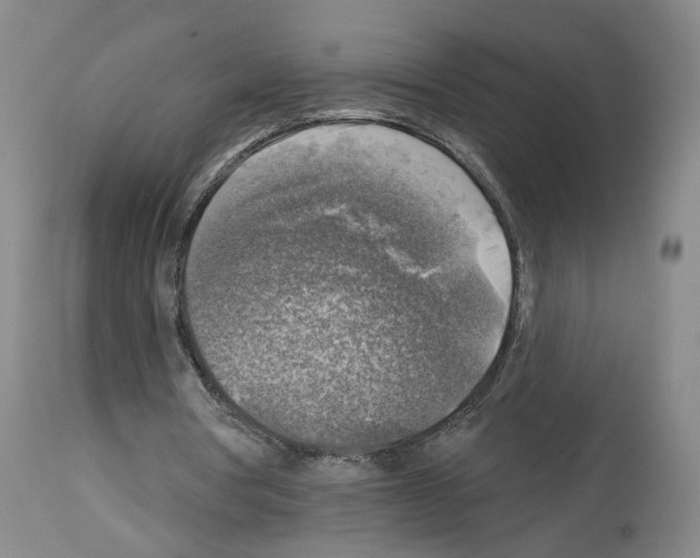 X0000113960386200911061330