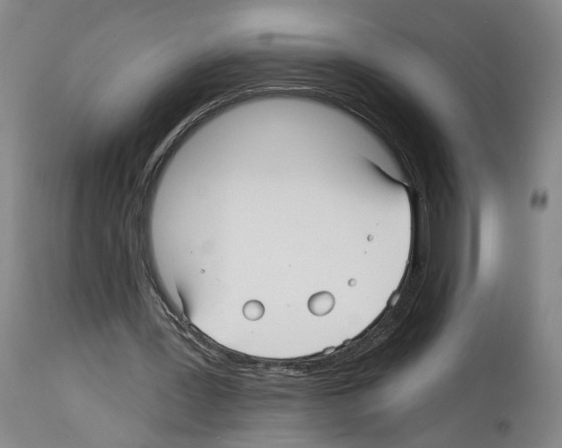 X0000113960387200911061330