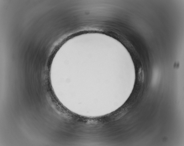 X0000113960388200911061330